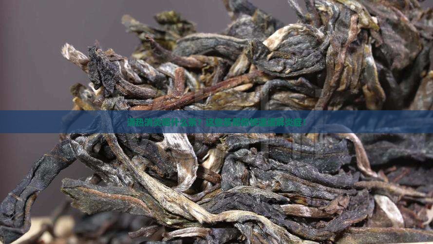 清热消炎喝什么茶