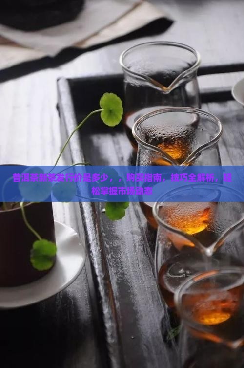 普洱茶新茶官方发行价是多少