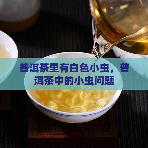 糯米香普洱茶里有白色小虫
