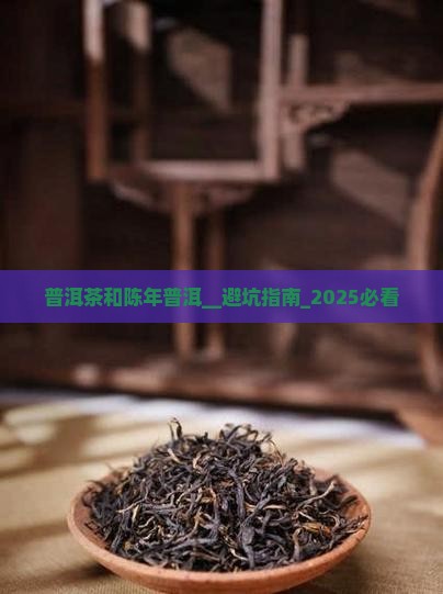 普洱茶和陈年普洱