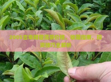2005吉幸牌普洱茶价格