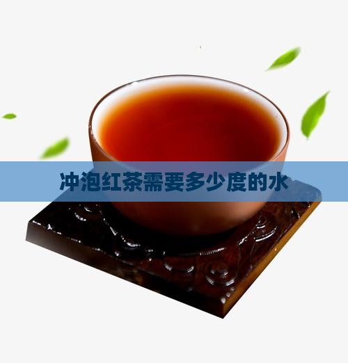 泡红茶需要多少度的水