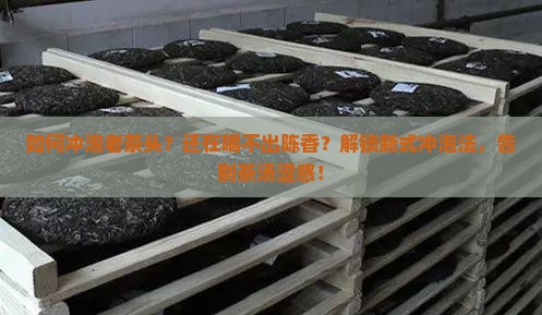 如何冲泡老茶头
