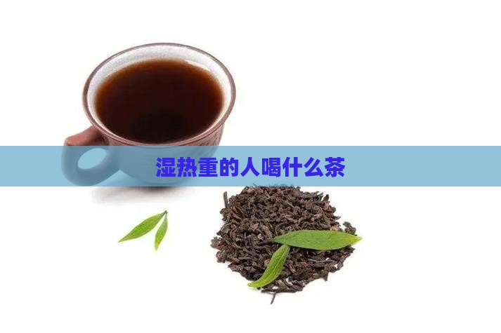湿热重的人喝什么茶
