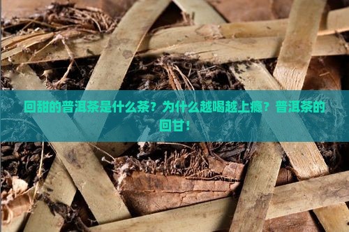 回甜的普洱茶是什么茶