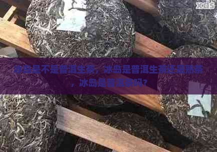 冰岛是不是普洱生茶