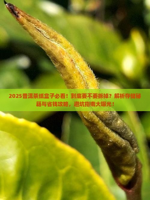 普洱茶纸盒子要拆掉吗吗