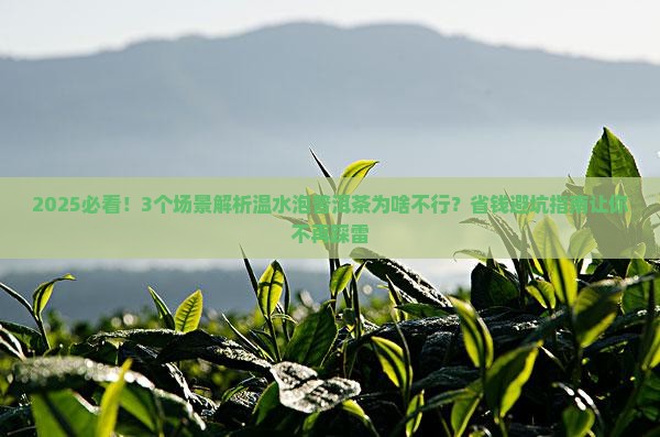 普洱茶为什么不能温水泡