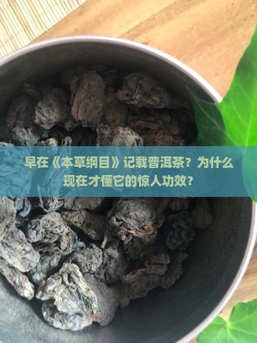 早在本草纲目记载普洱茶 早在本草纲目记载普洱茶