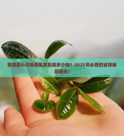 普洱茶小沱熟茶批发多少钱