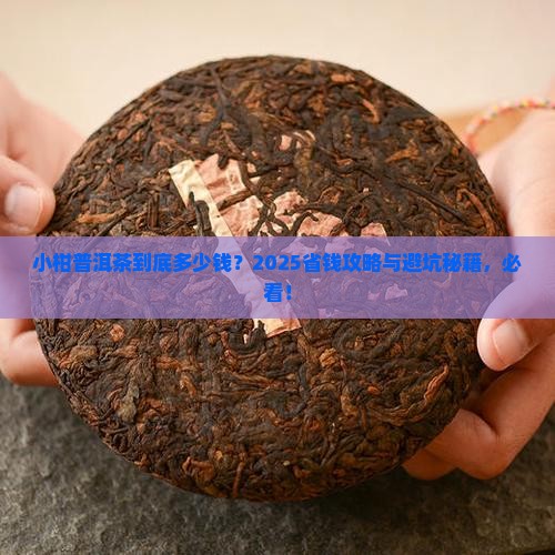 小柑普洱茶价钱