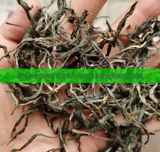 普洱茶在赣州有市场吗