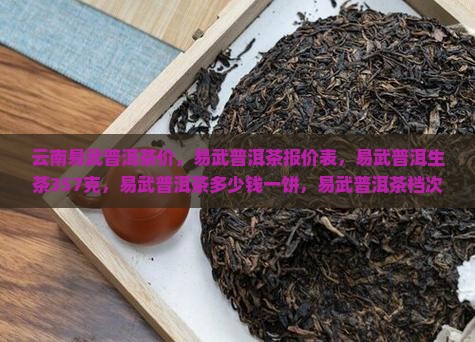 云南易武普洱茶价