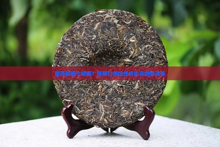 普洱茶哪些茶好喝