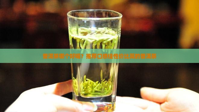 普洱茶哪些茶好喝