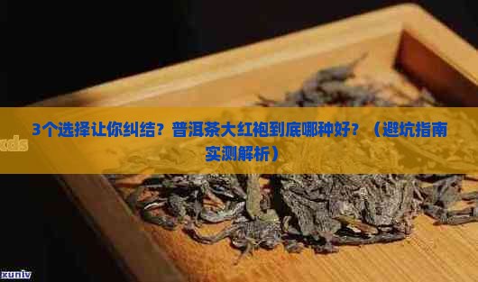 普洱茶大红袍哪种好