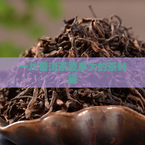 一片普洱茶要多大的罐