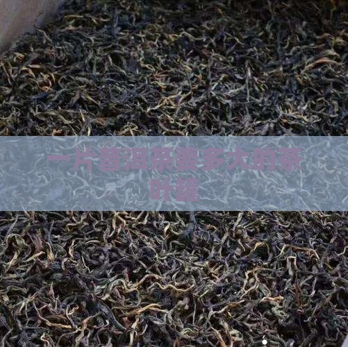 一片普洱茶要多大的罐