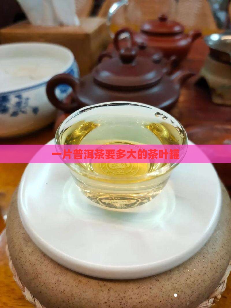 一片普洱茶要多大的罐