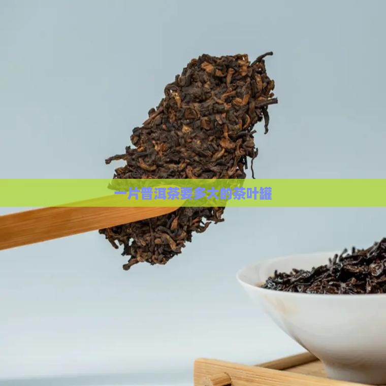 一片普洱茶要多大的罐