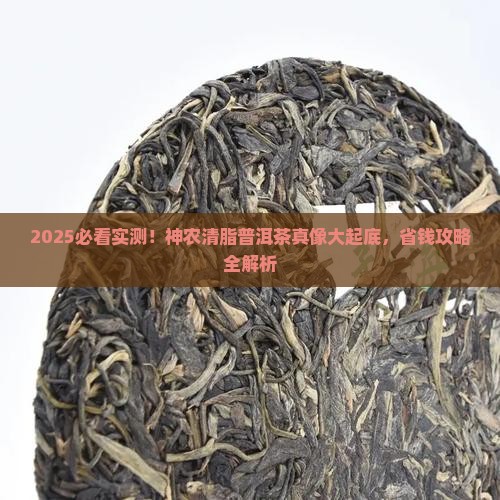 神农清脂普洱茶