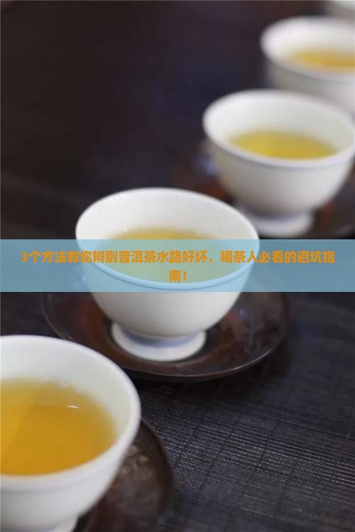 普洱茶怎么看水路的好坏