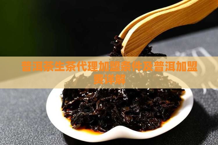 知名普洱茶生茶代理条件