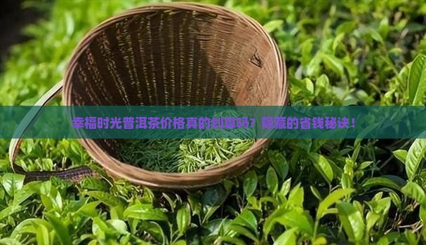 幸福时光普洱茶价格