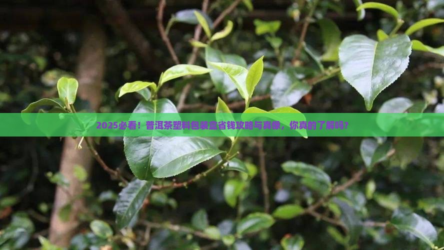 普洱茶塑料包装盒