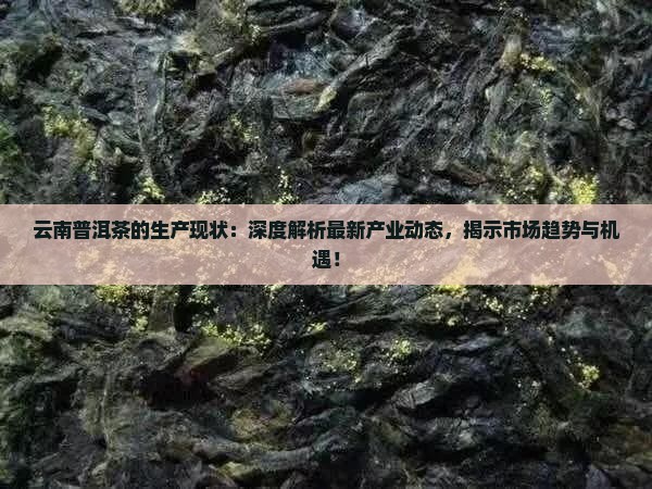 云南普洱茶的生产现状