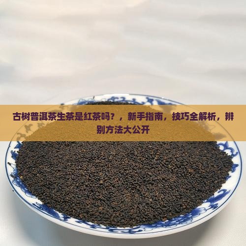 古树普洱茶生茶是红茶吗