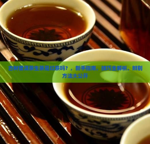 古树普洱茶生茶是红茶吗