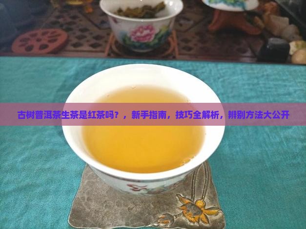 古树普洱茶生茶是红茶吗