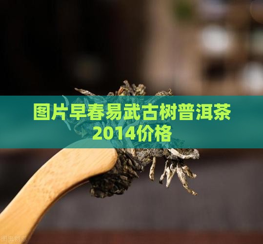 易武早春普洱茶2014