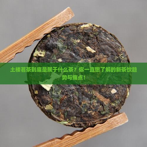 土楼茗茶是属于什么茶