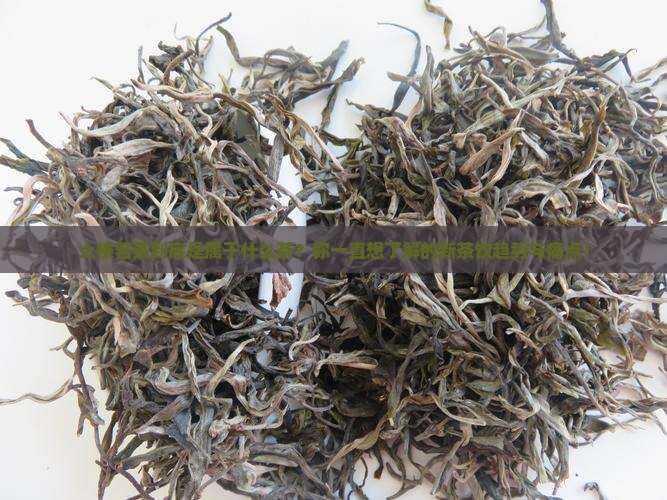 土楼茗茶是属于什么茶