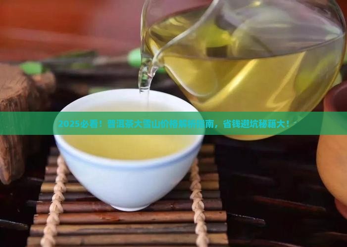 普洱茶大雪山品牌价格