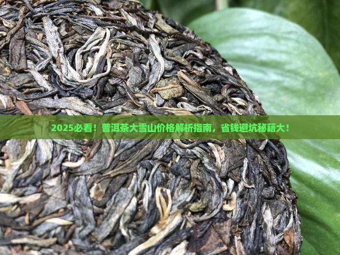普洱茶大雪山品牌价格