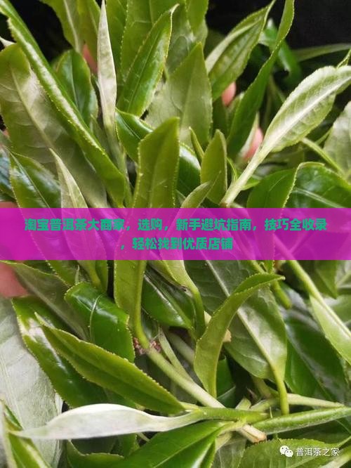 淘宝普洱茶大商家