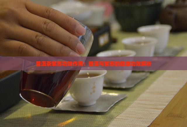 普洱茶紫苏竹叶功效