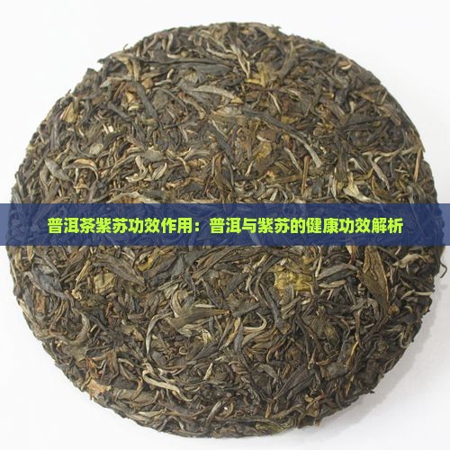 普洱茶紫苏竹叶功效