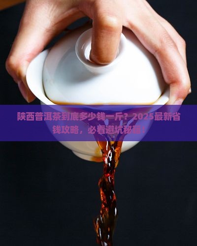 陕西普洱茶多少钱一斤