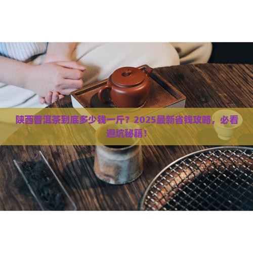陕西普洱茶多少钱一斤