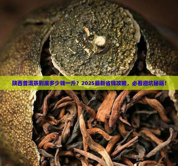 陕西普洱茶多少钱一斤