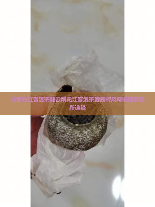 云南元江普洱茶醋