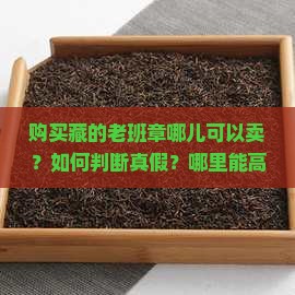 购买藏的老班章哪儿可以卖