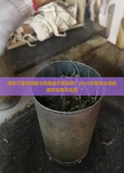 班章六星青饼福今