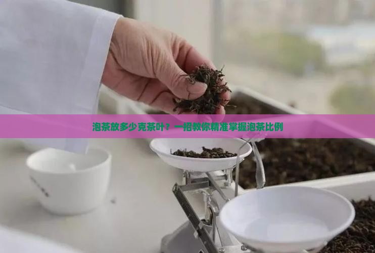 泡茶放多少克茶叶