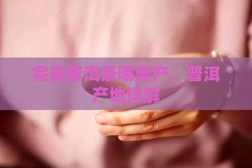 完美公司普洱茶产地
