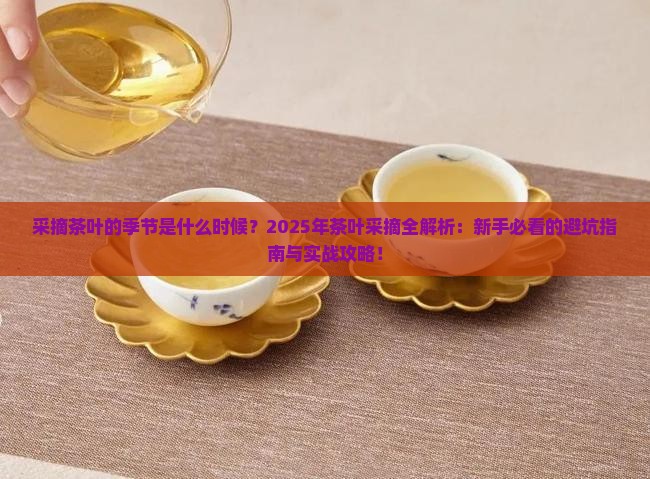 采摘茶叶的季节